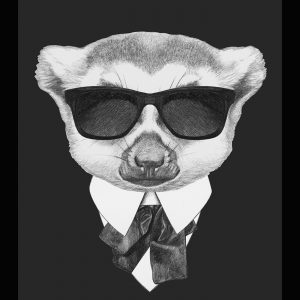 A Conspiracy of Lemurs